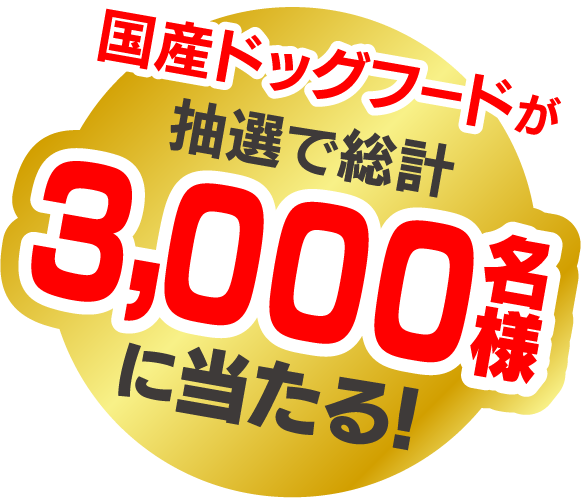 国産ドッグフードが抽選で総計3,000名様に当たる！